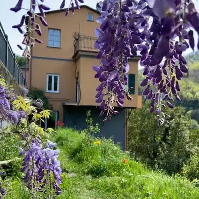 C'era un Voltino Guest House