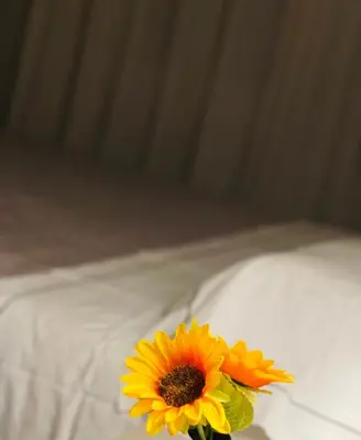 Letto o letti in una camera di La Bella Modena Giardini Appartamenti