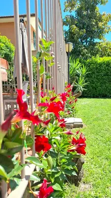Giardino di Casa WELCOME