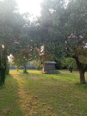 Giardino di Villa Carla