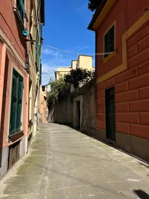 Il quartiere o una zona nella vicinanze dell'appartamento