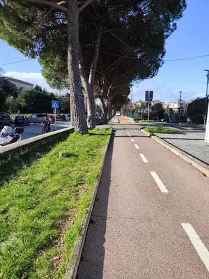 Il quartiere o una zona nella vicinanze dell'affittacamere