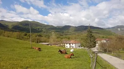 Paesaggio naturale nelle vicinanze dell'appartamento