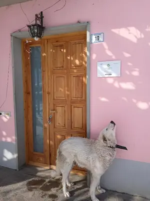 Ospiti di La Lissandra Agriturismo House con animali domestici