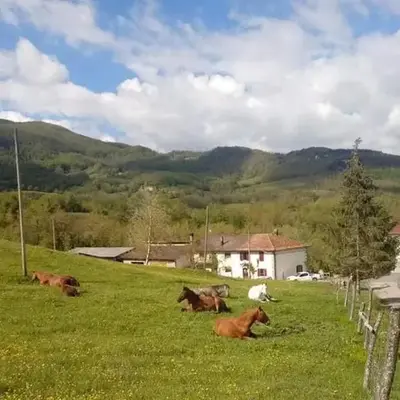 La Lissandra Agriturismo House