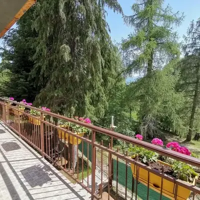 Sunny House -Charming apartment in the nature