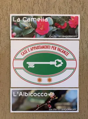 Planimetria di L'Albicocco
