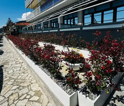 Giardino di Blue Seagull Guest House
