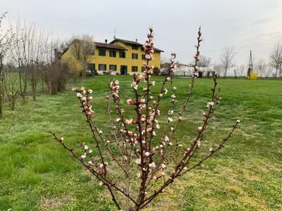 Giardino di Sangiligio Countryside Villa, Private Rooms w Kitchen, Bath, Private Entrance, Crema