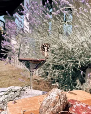Bevande di Ca' del Sasso by il Sassoscritto