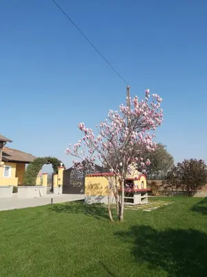 Giardino di Cascina Olmetto di Sotto