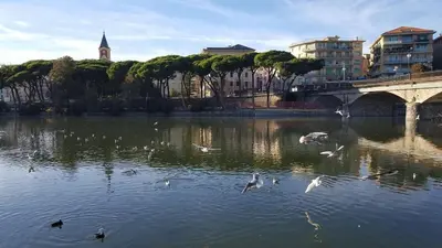Vista sul fiume nelle vicinanze dell'appartamento