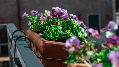 Giardino di Cà di Frè B&B