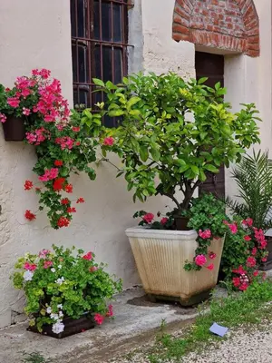 Giardino di Cascina Robusta three-room apartment Box Private parking