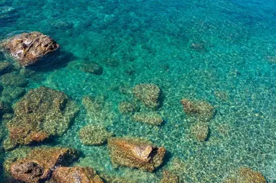 Paesaggio naturale nelle vicinanze della villa