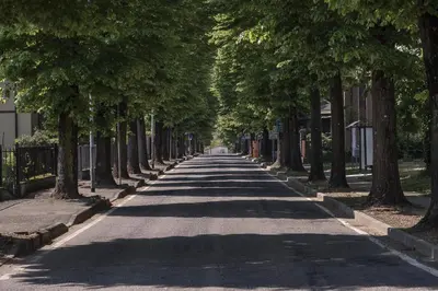 Il quartiere o una zona nella vicinanze dell'appartamento