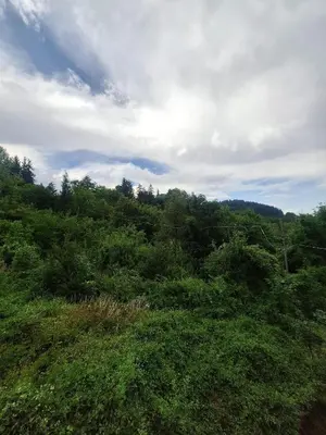 Paesaggio naturale nelle vicinanze dell'appartamento