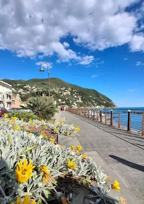 Paesaggio naturale nelle vicinanze dell'appartamento