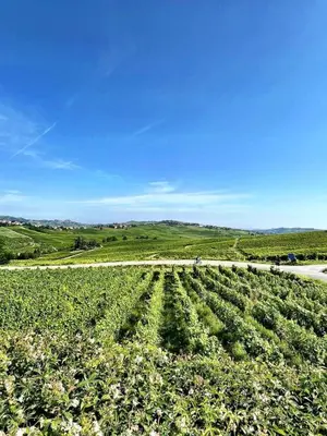 Paesaggio naturale nelle vicinanze della stanza in casa privata