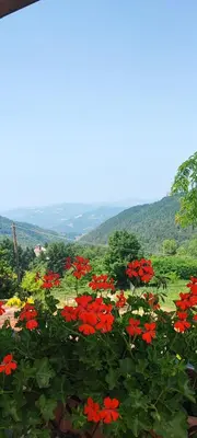 Paesaggio naturale nelle vicinanze della casa vacanze