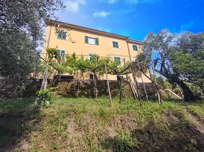 Giardino di Appartamento dei limoni