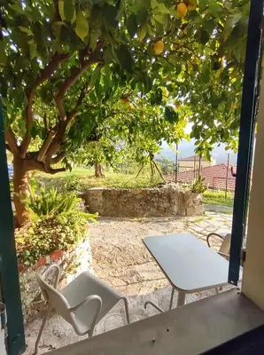 Giardino di Appartamento dei limoni