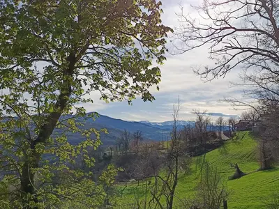 Paesaggio naturale nelle vicinanze del lodge