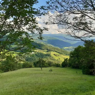 Paesaggio naturale nelle vicinanze del lodge