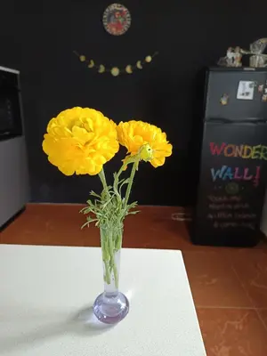 Planimetria di That's amore - l'incanto della valle