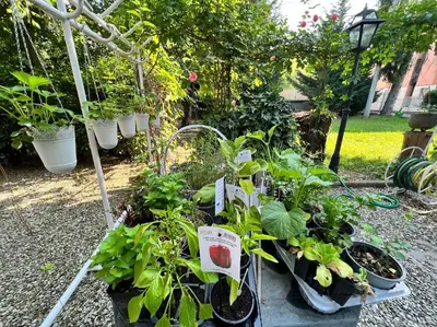 Giardino di B&B La Bugia di Villa Tanzi