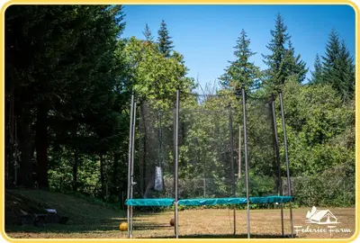 Planimetria di Camping Grondola - FedericoFarm