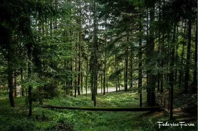 Paesaggio naturale nelle vicinanze del campeggio