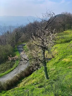 Paesaggio naturale nelle vicinanze dell'appartamento