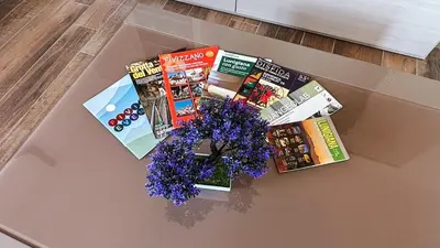 Biblioteca nell'appartamento