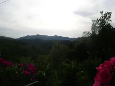 Paesaggio naturale nelle vicinanze of country house