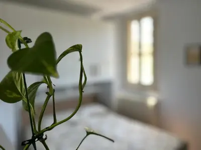 Letto o letti in una camera di Ponterosso Guesthouse