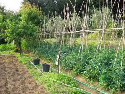 Giardino di Agriturismo La Bianca Fattoria