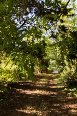 Paesaggio naturale nelle vicinanze del bed & breakfast