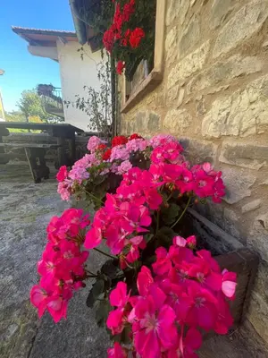 Giardino di La Casa di Bianca - Intero appartamento
