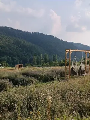 Paesaggio naturale nelle vicinanze del bed & breakfast