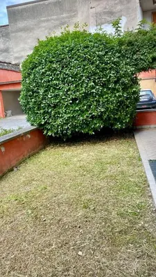 Planimetria di Cuore della Città- Manerbio