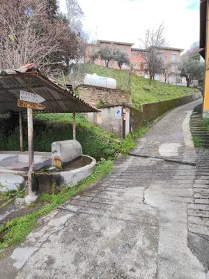 Planimetria di Uscio Natura