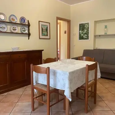 Fior Di Sambuco