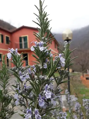 Giardino di Villa Bella bed and breakfast