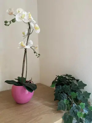 Planimetria di Molinari House Modena Giada - FREE ZTL
