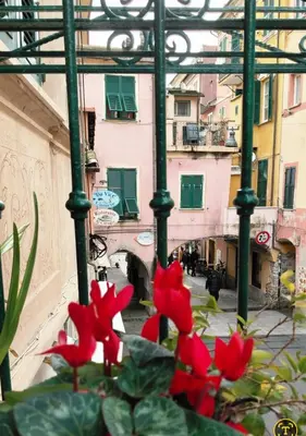 Balcone o terrazza di A Ca' du Mûsenu - apartment in Monterosso center