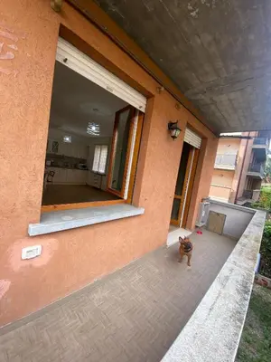 Ospiti di B&B Rifugio in centro città con animali domestici