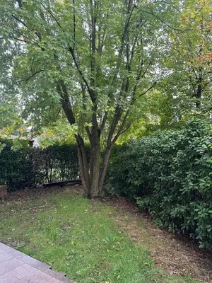 Giardino di SognaRE appartament