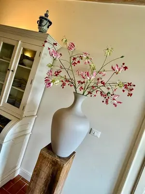 Planimetria di Villa Molinari B&B Concordia Sulla Secchia