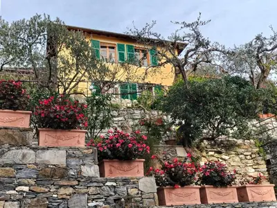 Giardino di L'Alcova tra gli ulivi
